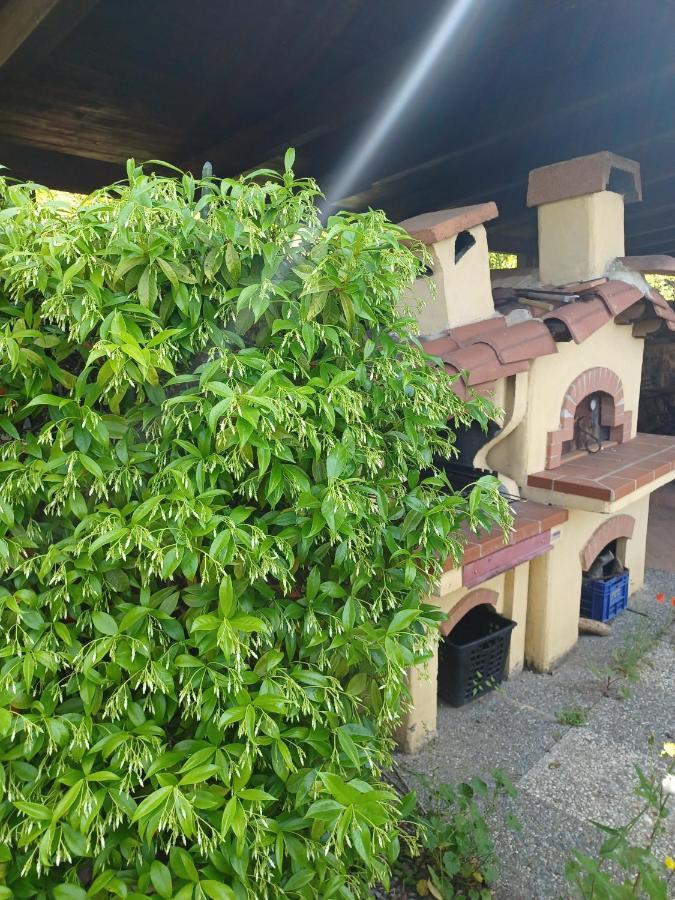 Villa Il Fontolo Ponzano Superiore Exterior foto