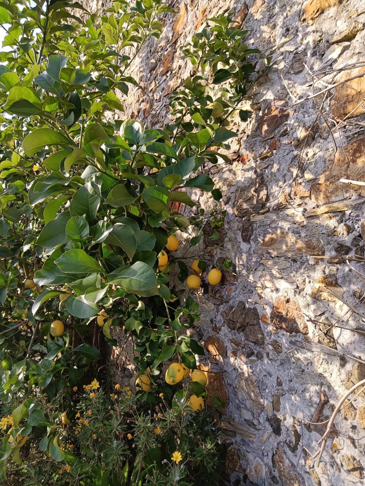 Villa Il Fontolo Ponzano Superiore Exterior foto
