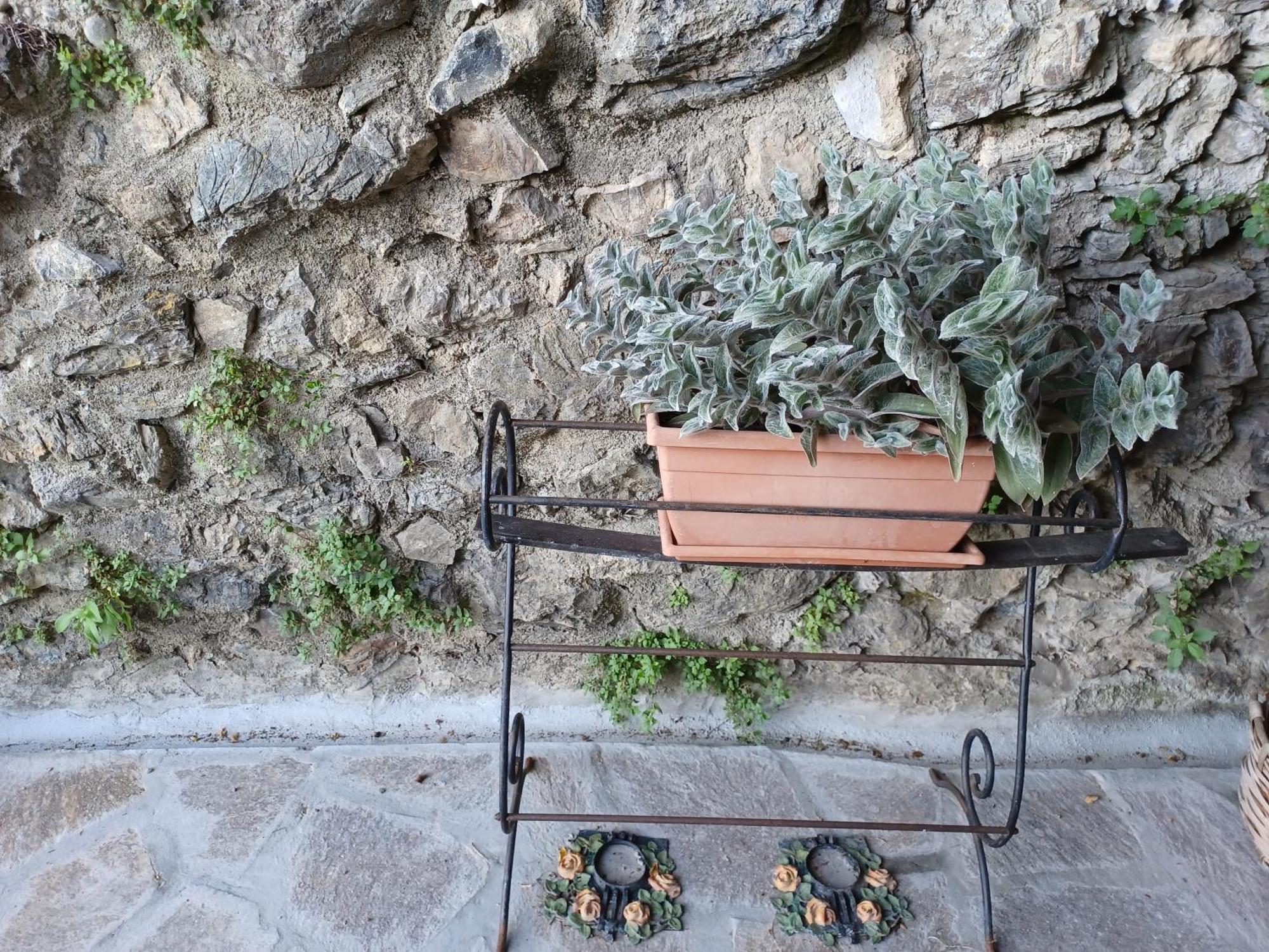 Villa Il Fontolo Ponzano Superiore Exterior foto