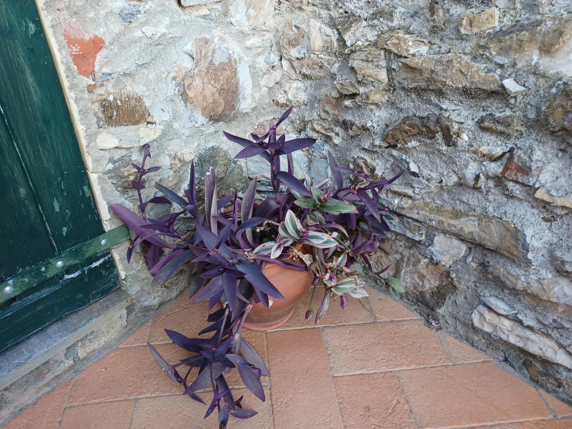 Villa Il Fontolo Ponzano Superiore Exterior foto