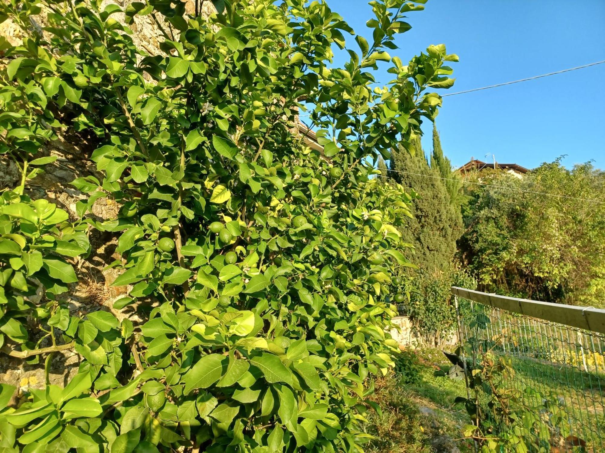 Villa Il Fontolo Ponzano Superiore Exterior foto