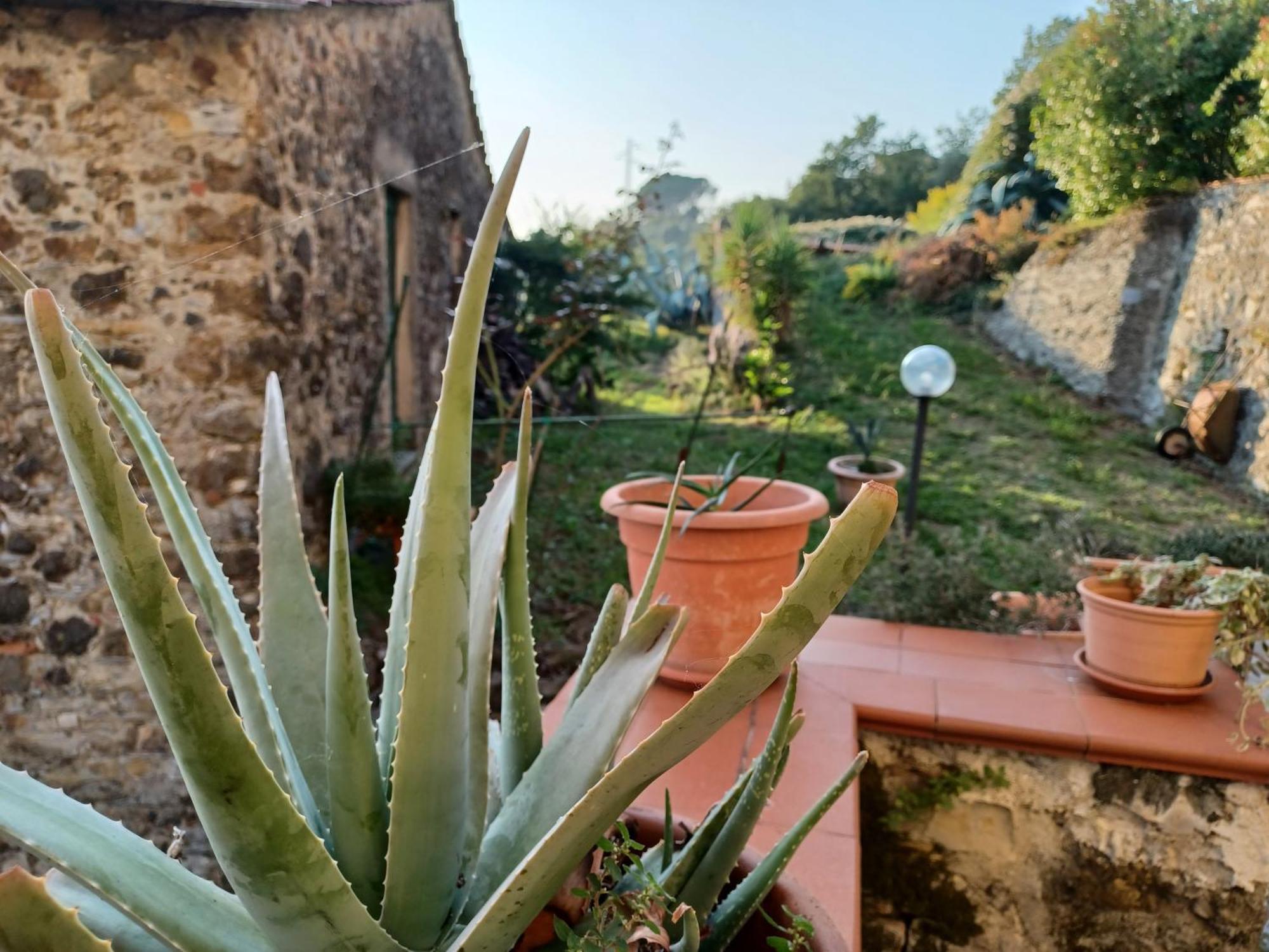 Villa Il Fontolo Ponzano Superiore Exterior foto