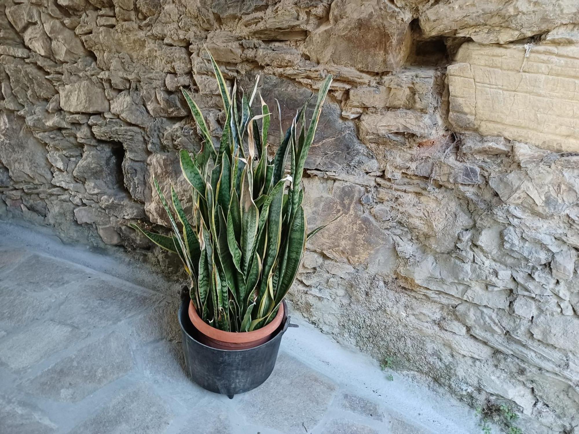 Villa Il Fontolo Ponzano Superiore Exterior foto