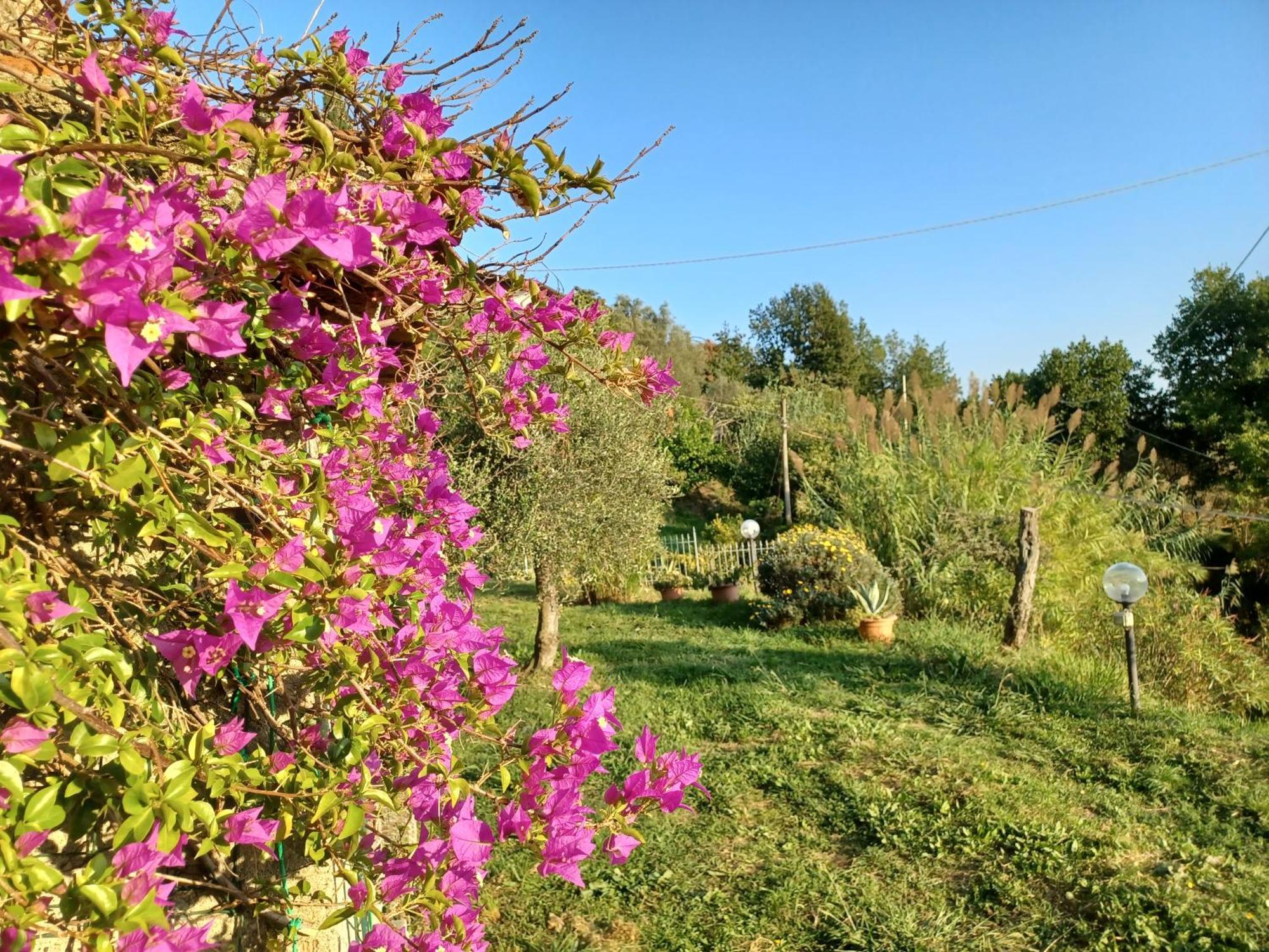 Villa Il Fontolo Ponzano Superiore Exterior foto