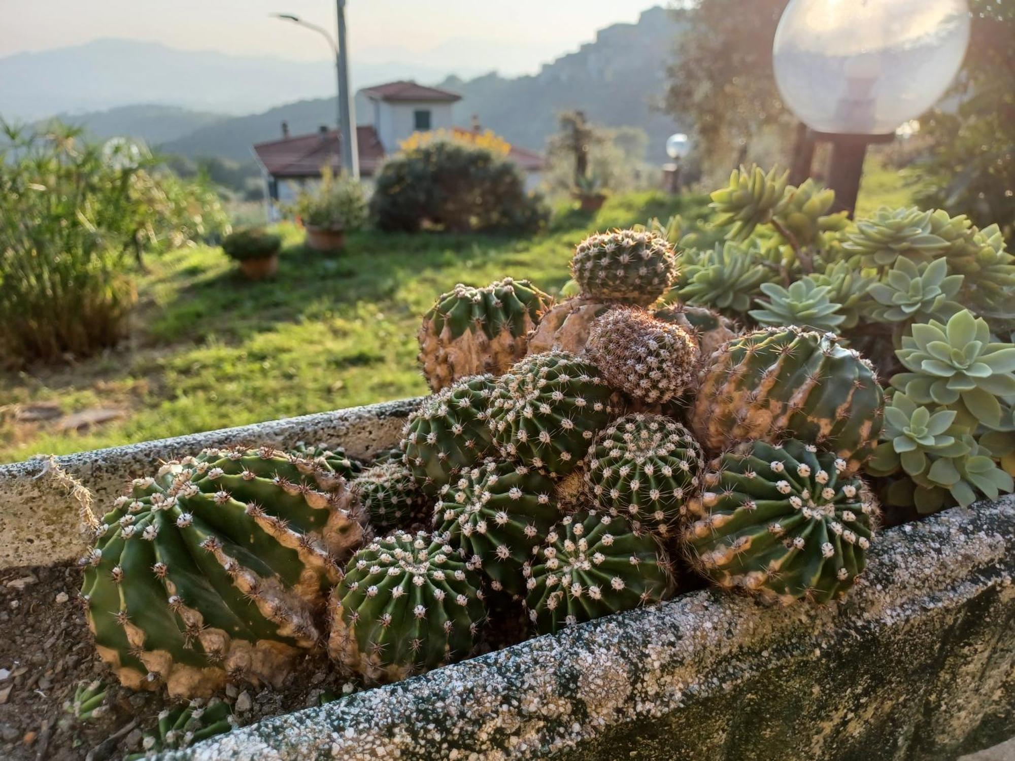 Villa Il Fontolo Ponzano Superiore Exterior foto